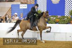 15R12_08509 thumbnail