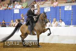 15R12_08510 thumbnail