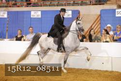 15R12_08511 thumbnail