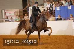 15R12_08512 thumbnail