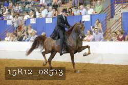 15R12_08513 thumbnail