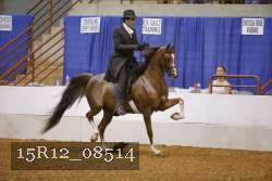 15R12_08514 thumbnail