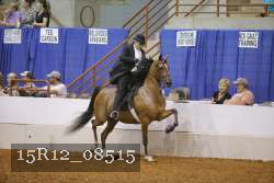 15R12_08515 thumbnail