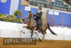 15R12_08517 thumbnail