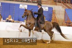 15R12_08518 thumbnail