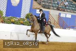 15R12_08519 thumbnail