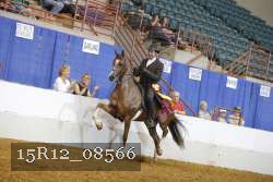 15R12_08566 thumbnail