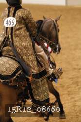 15R12_08660 thumbnail