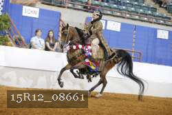 15R12_08661 thumbnail