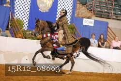 15R12_08663 thumbnail