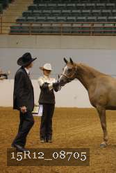 15R12_08705 thumbnail