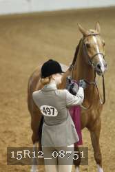 15R12_08751 thumbnail