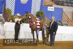 15R12_08771 thumbnail