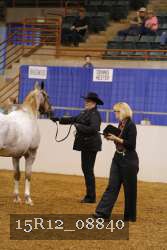 15R12_08840 thumbnail