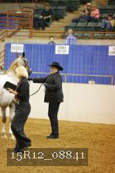 15R12_08841 thumbnail