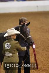 15R12_08844 thumbnail