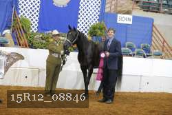 15R12_08846 thumbnail