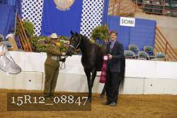 15R12_08847 thumbnail