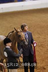 15R12_08848 thumbnail