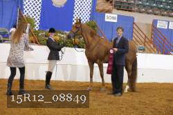 15R12_08849 thumbnail