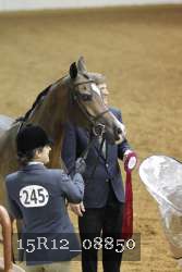 15R12_08850 thumbnail
