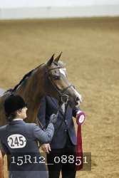 15R12_08851 thumbnail