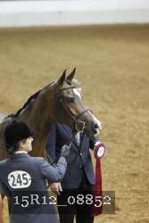 15R12_08852 thumbnail