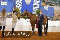 15R12_08855 thumbnail
