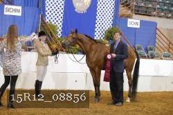 15R12_08856 thumbnail