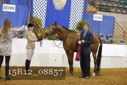 15R12_08857 thumbnail