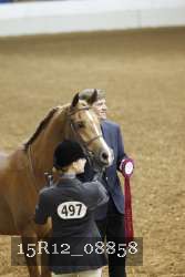 15R12_08858 thumbnail
