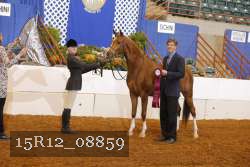 15R12_08859 thumbnail