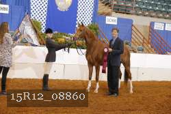 15R12_08860 thumbnail