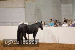 15R12_08862 thumbnail