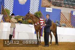 15R12_08888 thumbnail