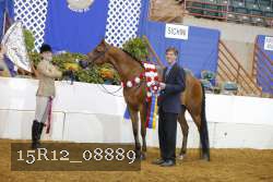 15R12_08889 thumbnail