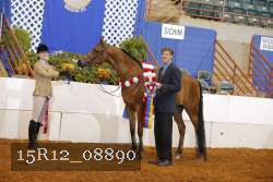 15R12_08890 thumbnail