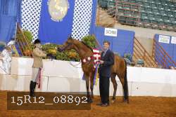 15R12_08892 thumbnail