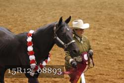 15R12_08893 thumbnail