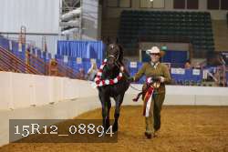 15R12_08894 thumbnail