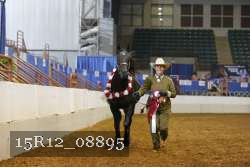 15R12_08895 thumbnail