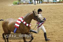 15R12_08898 thumbnail