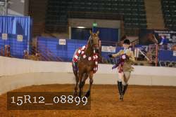 15R12_08899 thumbnail