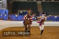 15R12_08900 thumbnail