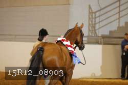 15R12_08903 thumbnail