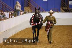 15R12_08904 thumbnail