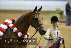 15R12_08906 thumbnail