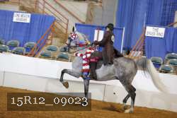 15R12_09023 thumbnail