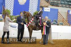 15R12_09148 thumbnail