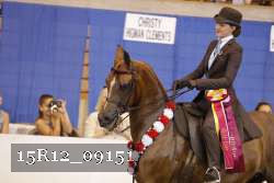 15R12_09151 thumbnail